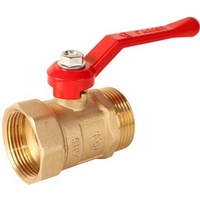 articul-A213203