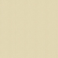 articul-A256351